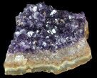 Sparkling Amethyst Crystal Cluster - Uruguay #43161-1